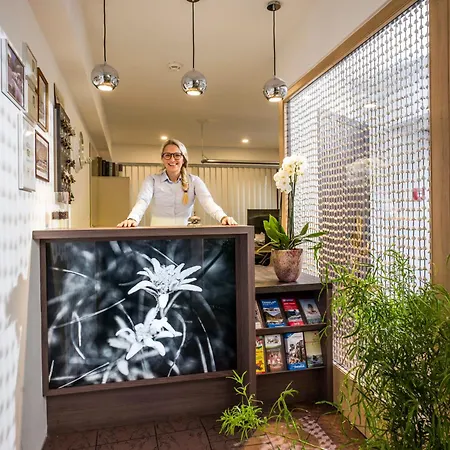 Edelweiss Lounge Restaurant Pizza Cafe Billard מאיירהופן