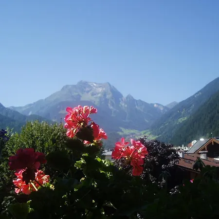 Edelweiss Mayrhofen