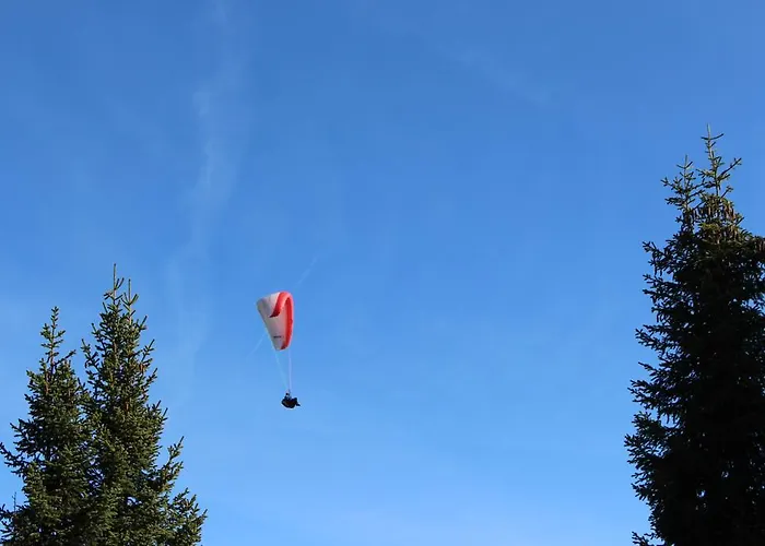 Gasthof Edelweiss Lounge Restaurant Pizza Cafe Billard